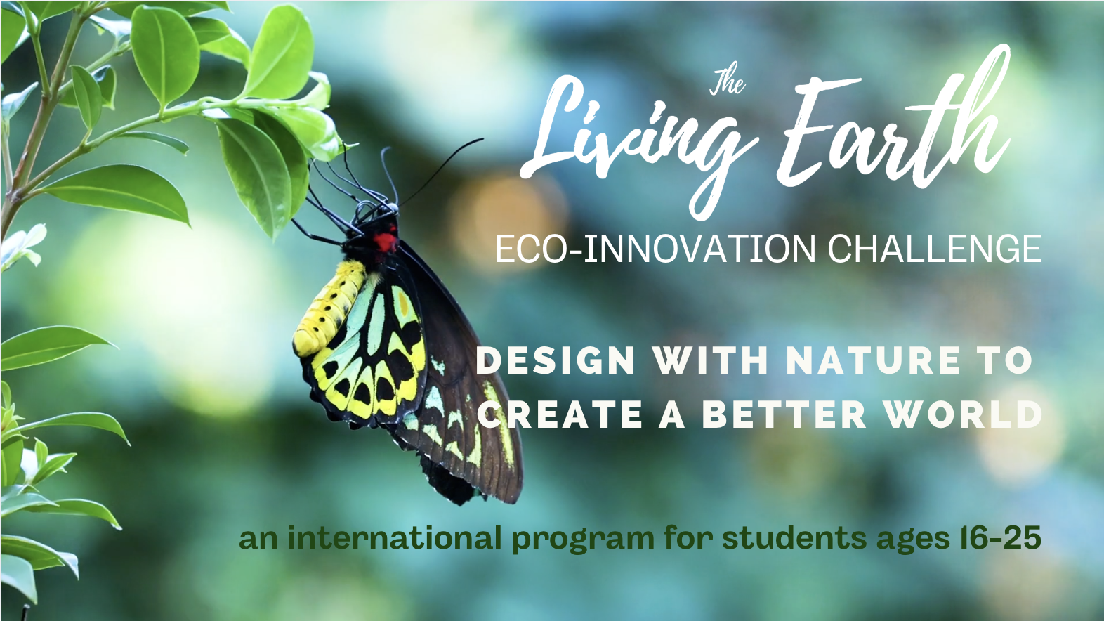 Eco-ChallengePromoVideo